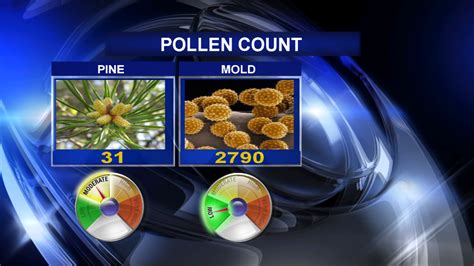 allergies today dallas|pollen count in dallas today.